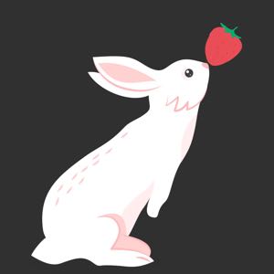 樱桃草莓兔