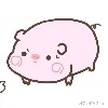一只可爱的小猪猪