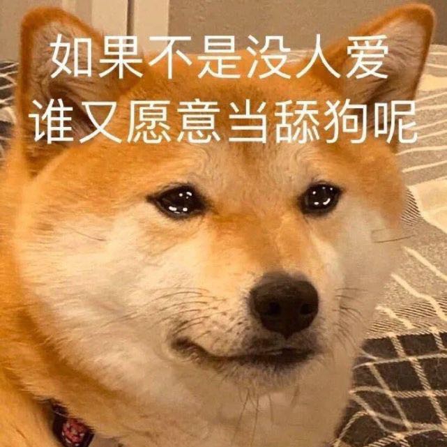 一只小舔狗