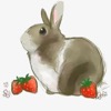 草莓大白兔奶糖
